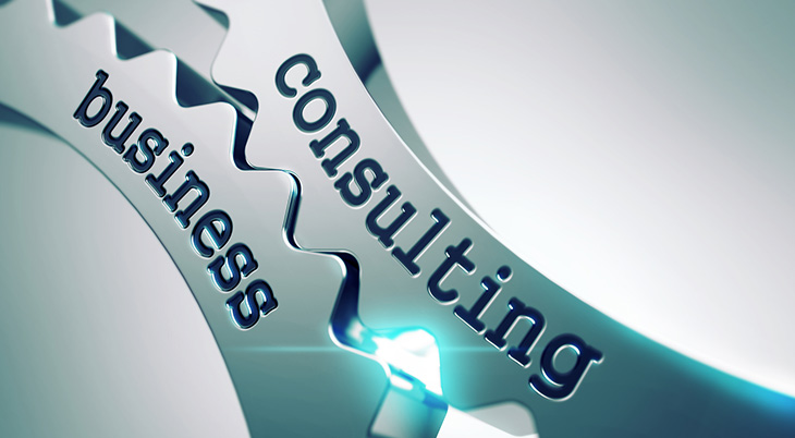 Consulting & Business